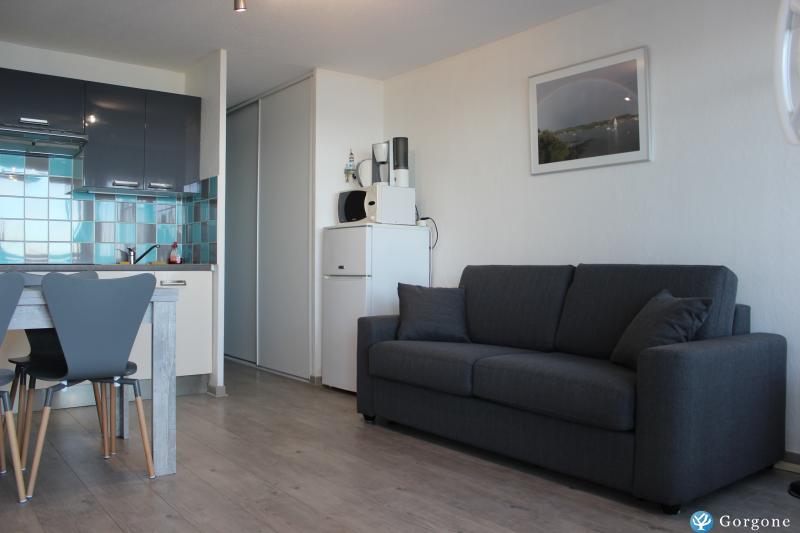 Photo n°8 de :appartement magnifique vue mer, avec vlos et wifi gratuits