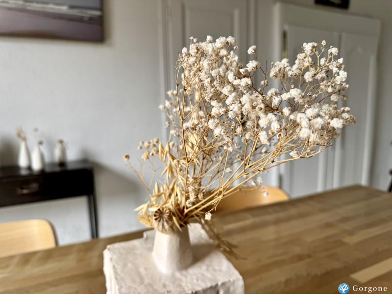 Photo n°8 de :Maison de vacances  Quiberon avec jardin clos