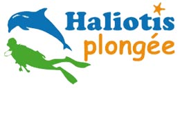 Haliotis plonge